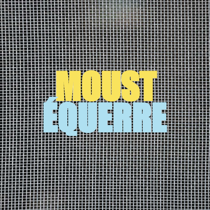 RÉPARATION DE MOUSTIQUAIRES À DOMICILE ( LAVAL & RIVE NORD )