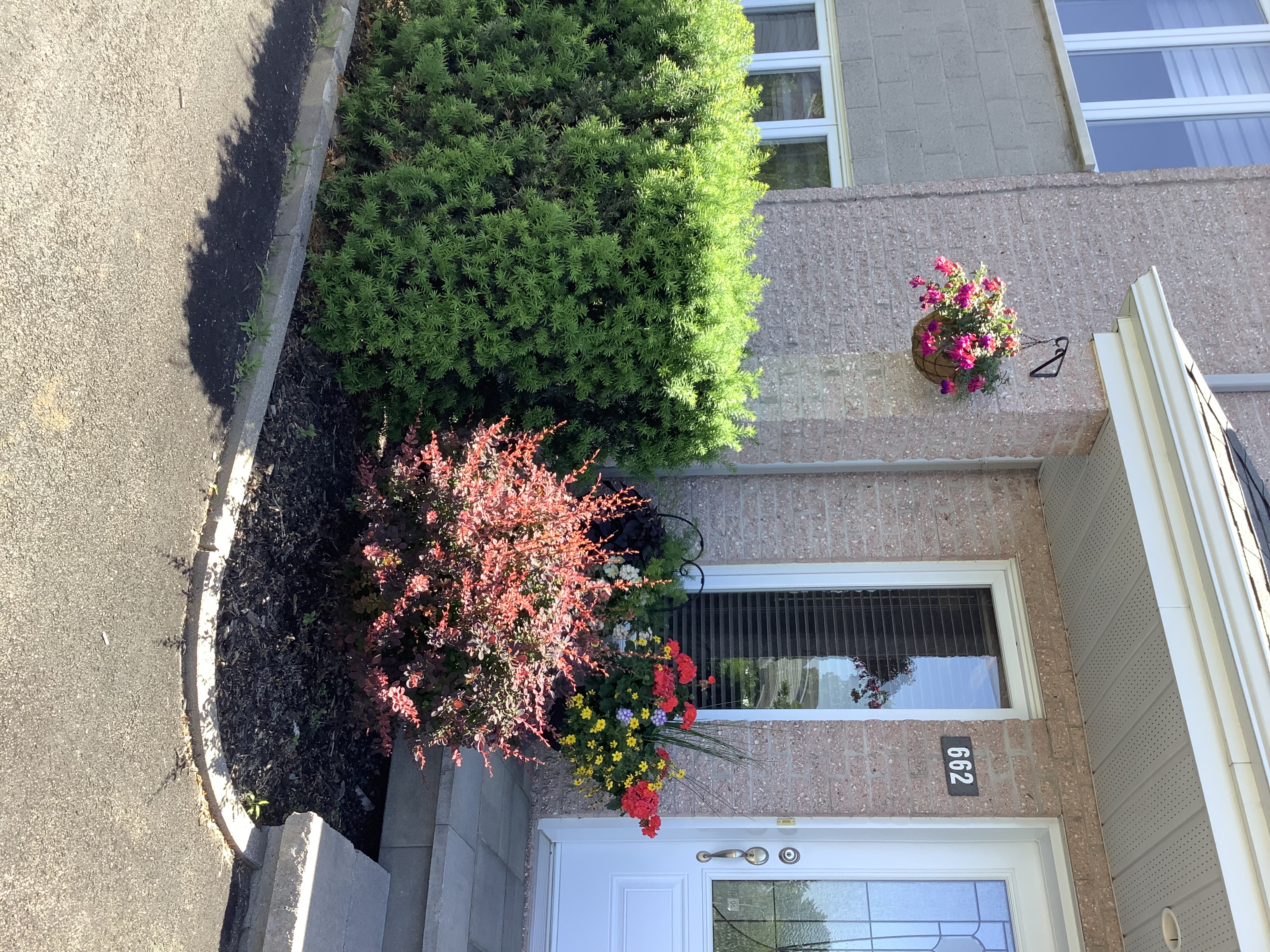 Deux-Montagnes — photo 2