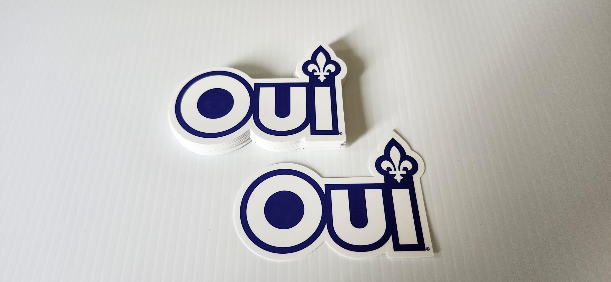 25 Autocollants QUÉBEC OUI