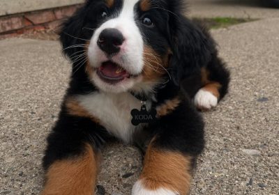 IMG_20251009_171342_490