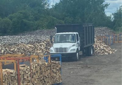 295103247_4896921173740923_1643408655399802142_n