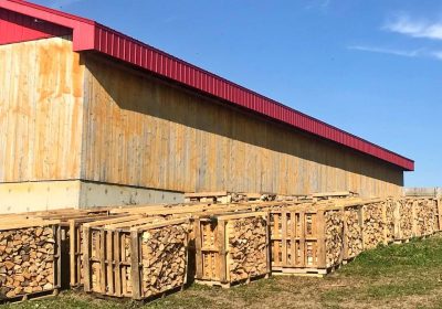 370711034_6596716613776617_6589527335953597333_n