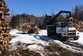 Bois de chauffage dur et sec