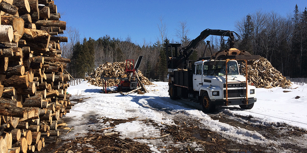 Bois de chauffage idéal pour L’hiver