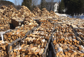 Bois de chauffage dur et sec