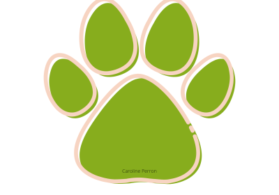 20210127_124820_0002