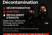 Décontamination