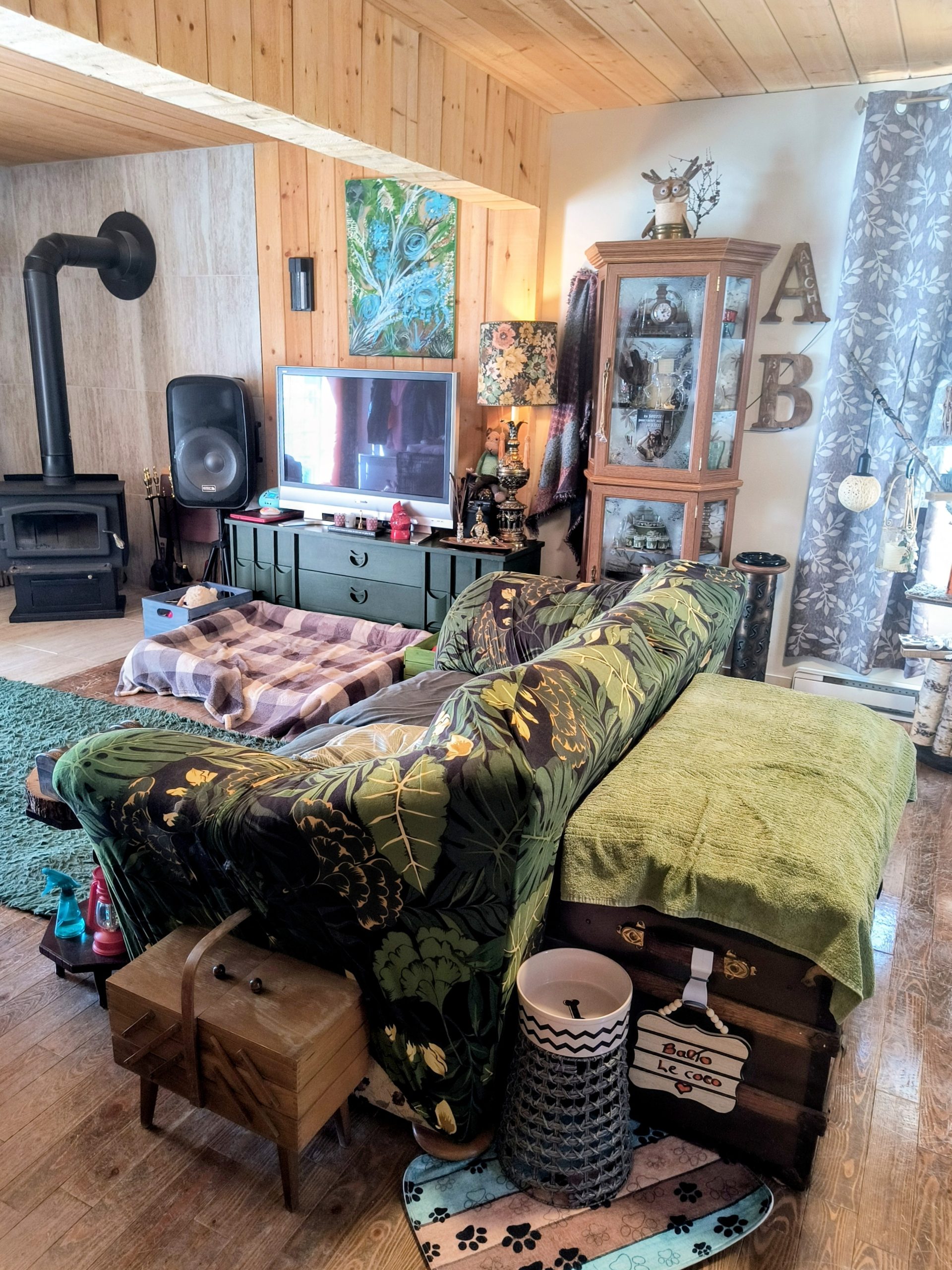 Maison à partager dans le bois